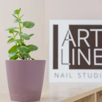 школа-студия art line nail studio изображение 1